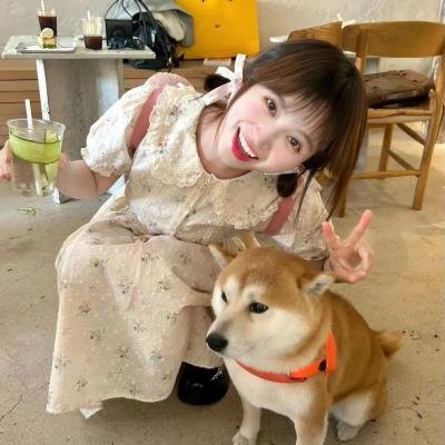 天若有情粤语